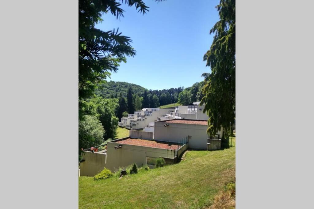 Studio Au Coeur Des Volcans D Auvergne - Murol Εξωτερικό φωτογραφία