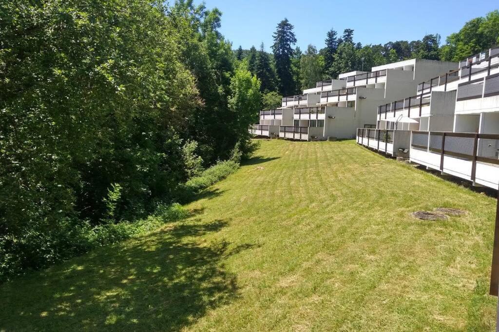 Studio Au Coeur Des Volcans D Auvergne - Murol Εξωτερικό φωτογραφία